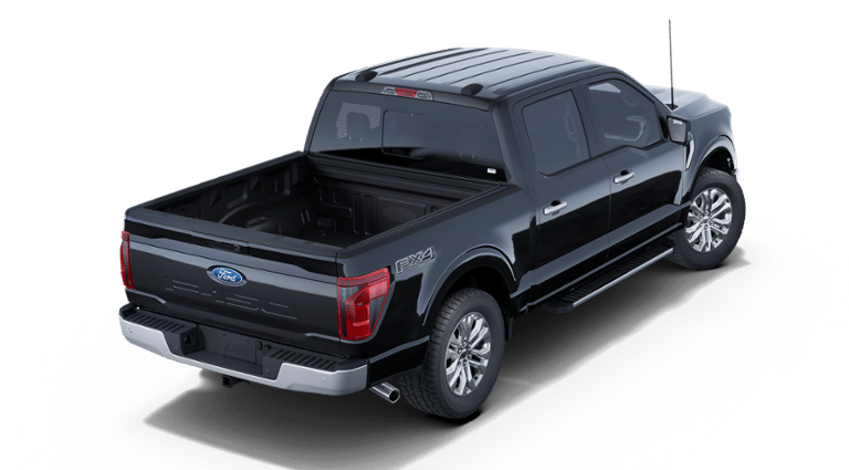 2025 Agate Black Metallic Ford F-150 XLT 4X4 Truck